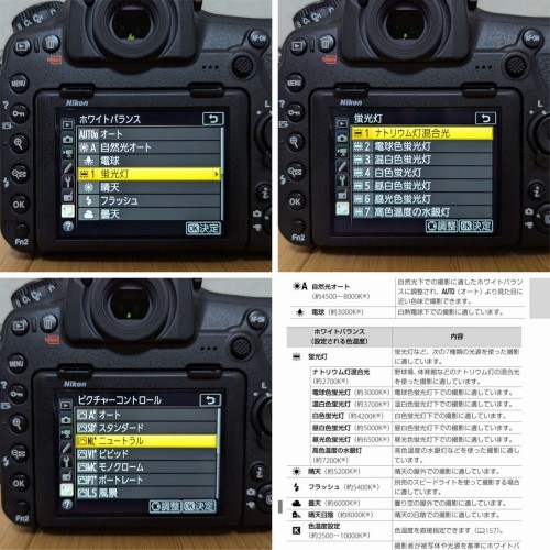 2025-11-14ホワイトバランスとピクチャーコントロール